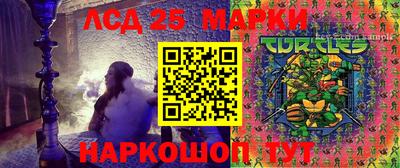 a pvp Дубна